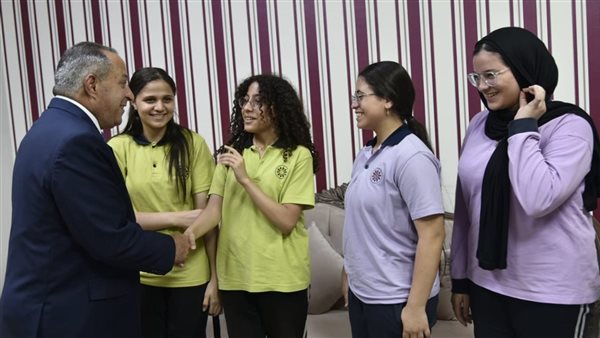 الجهود التنفيذية