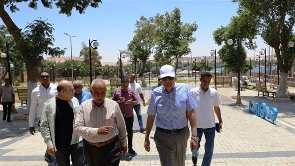 محافظ أسوان