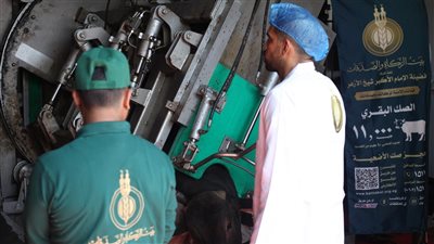 بيت الزكاة والصدقات يبدأ ذبح الأضاحي لتوزيع اللحوم على المستحقين | صور