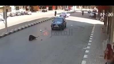 سيارة دون لوحات وقيادة برعونة.. القبض على طالب صدم سيدة وتسبب في وفاتها بطنطا