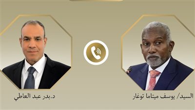 وزير الخارجية يؤكد استعداد مصر لتقديم الدعم اللازم لنيجيريا في مواجهة الإرهاب والتطرف