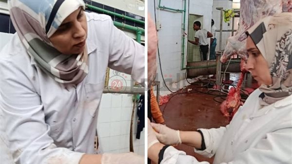 بيطريات البحر الأحمر