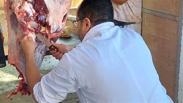  أضحية المواطنين