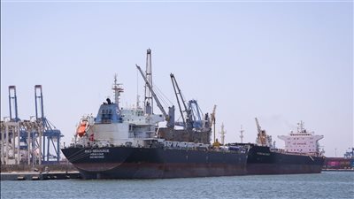 ميناء دمياط يستقبل 53.5 ألف طن بضائع متنوعة خلال 24 ساعة.. بينها ذرة وقمح وزيت