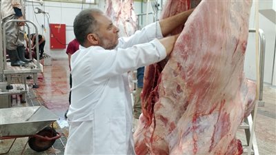 ذبح آمن على مدار الساعة بالمجازر الحكومية.. محافظ الدقهلية: لا أضاحي في الشوارع وغرامات للمخالفين في العيد