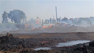 4 حالات اختناق.. محافظ الغربية يعلن السيطرة على حريق شونة كتان في زفتى