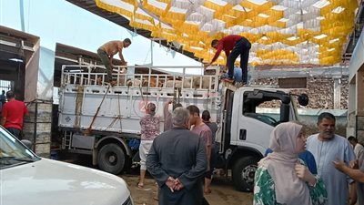 ذبح 164 رأس ماشية بالمنوفية لتوزيعها على الأسر الأولى بالرعاية خلال أيام عيد الأضحى