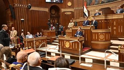 جدول تقسيم الدوائر الانتخابية لمجلس الشيوخ بالنظامين الفردي والقوائم 