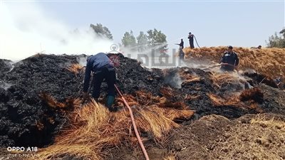 رئيس مياه الشرب بالغربية: الدفع بـ 10 سيارات لإخماد حريق الكتان بقرية شبرا ملس