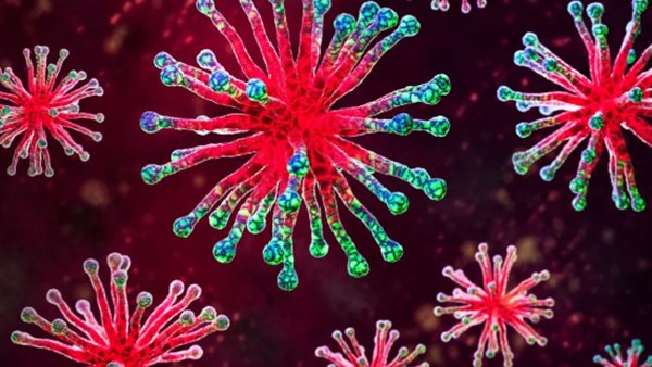 فيروس نيمبوس.