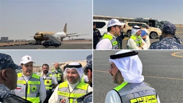 الطائرة المشتبه بها