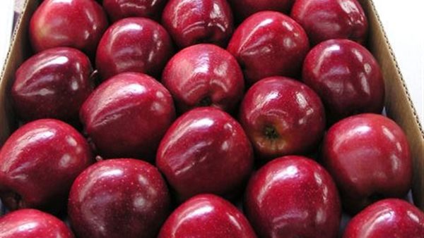 التفاح - أرشيفية