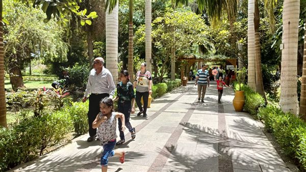 حديقه النباتات 