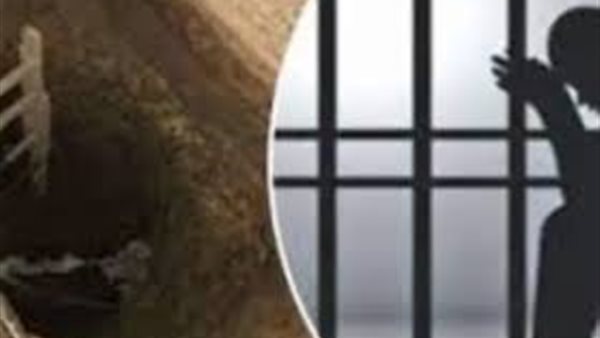 حبش قيقين اعديا على