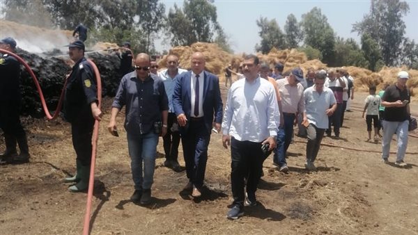 الدكتور محمود عيسي