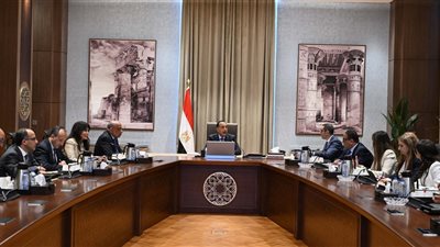 رئيس الوزراء يستعرض الفرص الاستثمارية في قطاع الكهرباء والطاقة خلال السنوات العشر المقبلة