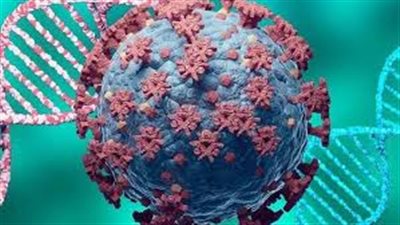 اكتشاف مفاجئ.. فيروس شائع يسبب أحد أخطر السرطانات