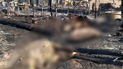 السيطرة على حريق بمزرعة مواشٍ في الفيوم