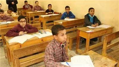 نتيجة الصف السادس الابتدائي برقم الجلوس والرقم القومي.. استعلم عنها الآن