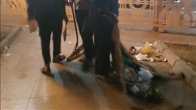 رفع 7 أطنان قمامة في حملة نظافة مكبرة بساحة سيدي أبو الحجاج بالأقصر