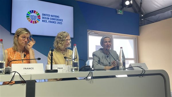 جانب من المشاركة