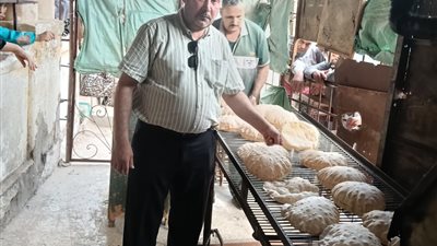 حملات تموينية بالدقهلية تضبط 114 مخالفة في يوم واحد