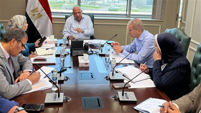 وزير الكهرباء يوجه برفع درجة الاستعداد لتأمين الشبكة في ظل الظروف الإقليمية الطارئة