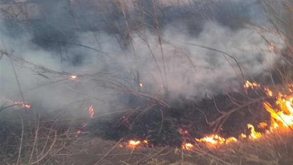 جانب من الحريق