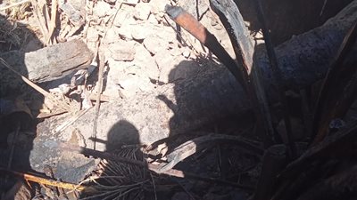 مصرع شخص ونفوق رأسي ماشية وطيور في حريق التهم حظيرة مواشي بأسيوط