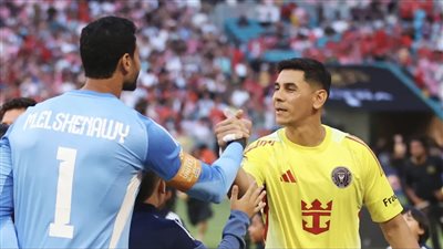 خطفا الأضواء من ميسي.. فيفا يشيد بالشناوي وأوستاري في افتتاح كأس العالم للأندية