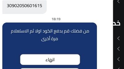 عايزينّا ندفع مرتين.. أولياء أمور طلاب 2 ثانوي بالجيزة يشكون بسبب النتيجة: الأعطال طفت فرحتنا| مستندات