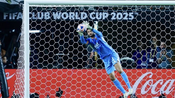 محمد الشناوي