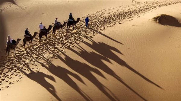 عبارات معبرة عن استقبال