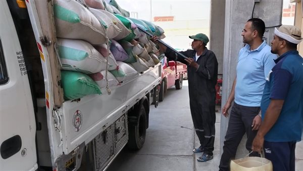 توريد محصول القمح