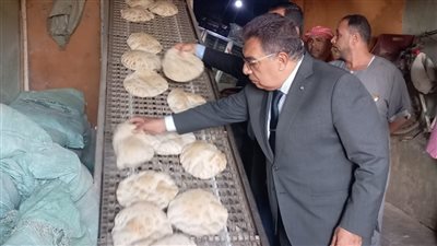 جولة مفاجئة.. محافظ الدقهلية يضبط مخالفات في المخابز والأنابيب بقرى دكرنس