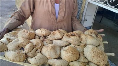 تموين الأقصر يواصل ضرباته الرقابية.. تحرير 343 مخالفة في النصف الأول من يونيو