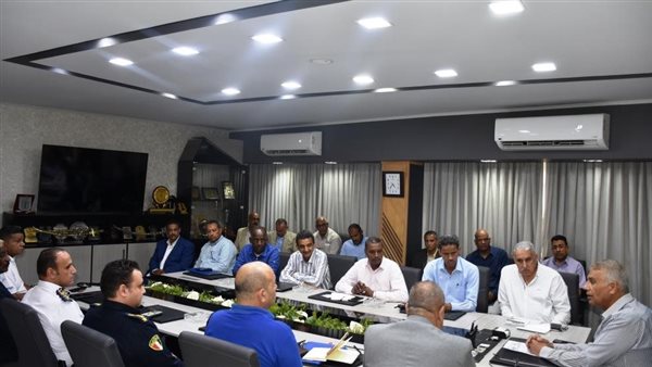 محافظ أسوان