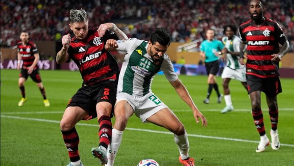 الترجي وفلامنجو