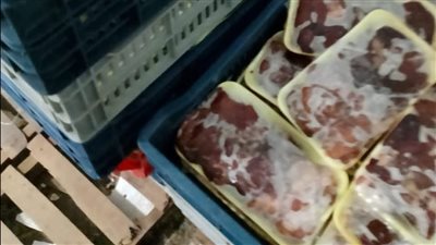 كارثة غذائية تحت السيطرة: ضبط 80 طبق كبدة فاسدة و400 كيس مقرمشات مجهولة المصدر في إسنا وأرمنت