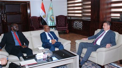 وزير الزراعة: شكلنا لجنة لدراسة آلية تشجيع المستثمرين المصريين على الاستثمار في الدول الإفريقية