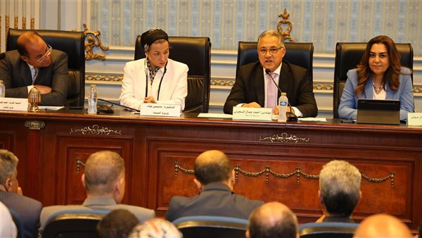 وزيرة التنمية المحلية