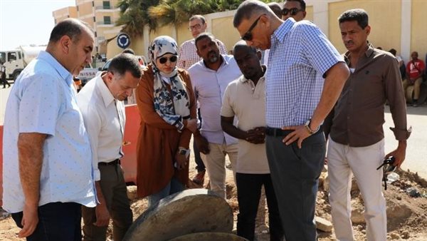 محافظ أسوان