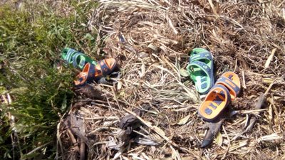 جريمة استغرقت 60 دقيقة.. الإعدام شنقًا لقاتل شقيقيه “التوأم” في الشرقية (صور)