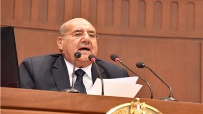 رئيس مجلس الشيوخ يشيد بدور الحكومة في ظل توجيهات القيادة السياسية الواعية