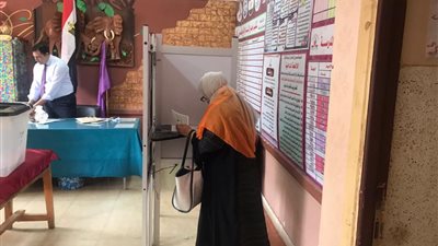 قبل بدء الانتخابات.. مرشح لمجلس النواب بالأقصر يعلن تنازله لآخر