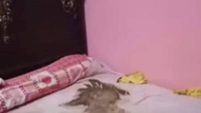 بعد ترك أم لرضيع 9 أيام حتى الموت.. محامٍ: لا يوجد مادة صريحة تجرِّم الإهمال الأسري بقانون الطفل