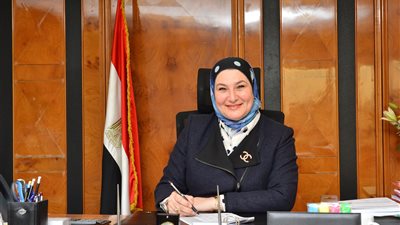 26.5 مليار جنيه حجم المحفظة الائتمانية لبنك تنمية الصادرات المصري