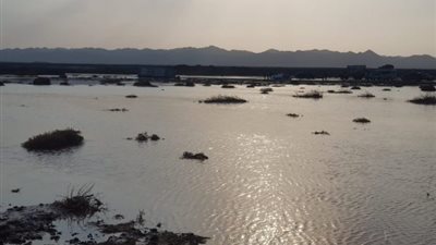 “التنبؤ بالأرصاد” يوجه بضرورة توخي الحذر لتجنب أضرار استمرار سقوط الأمطار على المناطق الجبلية