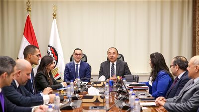 وزيرا قطاع الأعمال والاستثمار يؤكدان اهتمام عدة دول بالاستثمار في قطاع الغزل والنسيج المصري