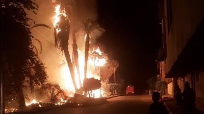 السيطرة على حريق بأشجار نخيل وحشائش أمام محكمة إسنا بالأقصر دون إصابات